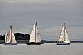 DSC_9415.JPG