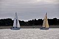 DSC_9417.JPG