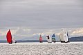 DSC_9530.JPG
