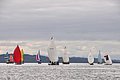 DSC_9531.JPG
