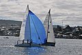 DSC_9659.JPG