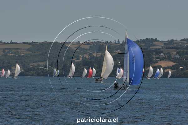 DSC_9593.JPG