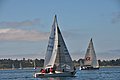 DSC_7377.JPG
