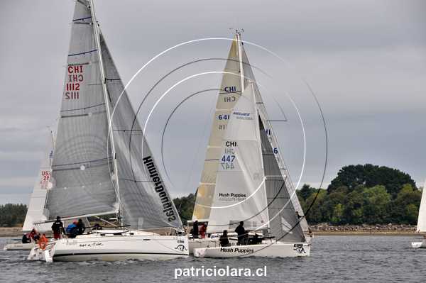 DSC_1104.JPG
