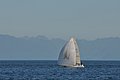 DSC_0872.JPG