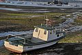 DSC_9192.JPG