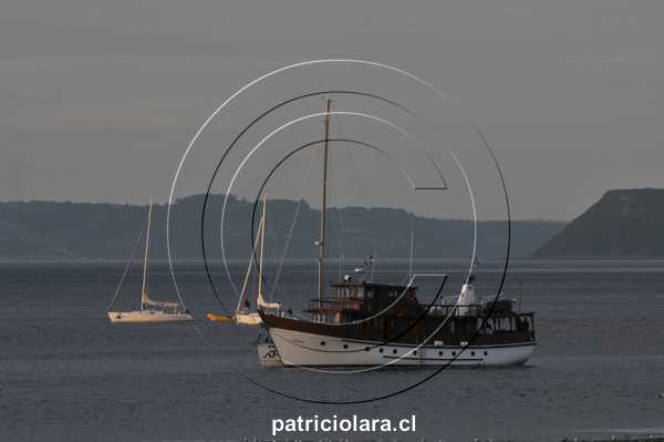 DSC_9227.JPG