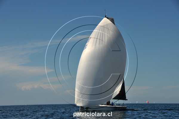 DSC_7686.JPG