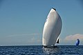 DSC_7682.JPG