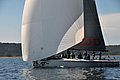 DSC_7691.JPG