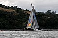DSC_8559.JPG