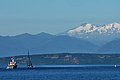 DSC_0722.JPG