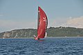 DSC_7975.JPG