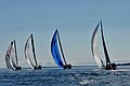 DSC_0516.JPG