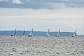 DSC_1616.JPG