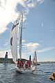 DSC_6659.JPG