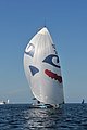 DSC_7516.JPG