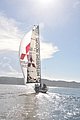DSC_8111.JPG