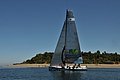 DSC_7452.JPG