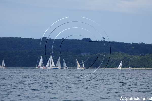 DSC_8944.JPG