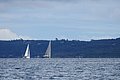 DSC_8947.JPG