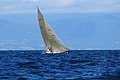 DSC_7773.JPG