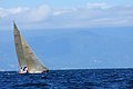 DSC_7776.JPG