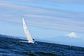 DSC_7873.JPG