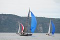 DSC_8448.JPG