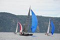 DSC_8449.JPG