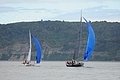 DSC_8452.JPG