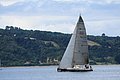 DSC_8954.JPG