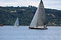 DSC_8955.JPG