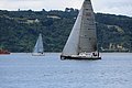 DSC_8956.JPG