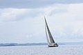 DSC_8966.JPG