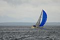 DSC_8396.JPG