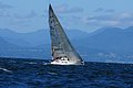 DSC_7679.JPG