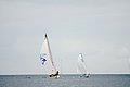 DSC_8479.JPG