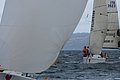 DSC_8792.JPG