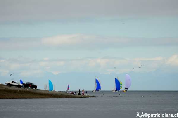 DSC_8104.JPG