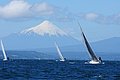DSC_7569.JPG