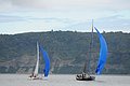 DSC_8451.JPG