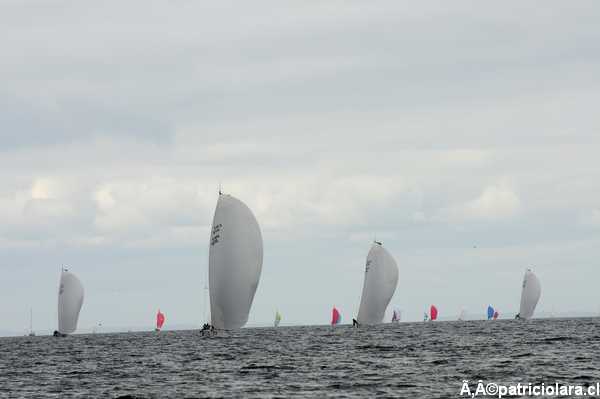 DSC_7975.JPG