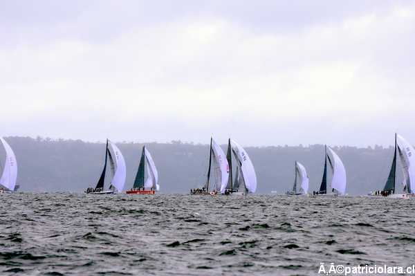 DSC_8870.JPG