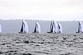 DSC_8868.JPG