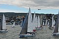 DSC_9010.JPG