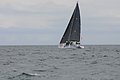 DSC_2845.JPG