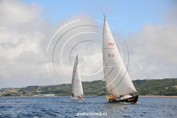 DSC_2118.JPG