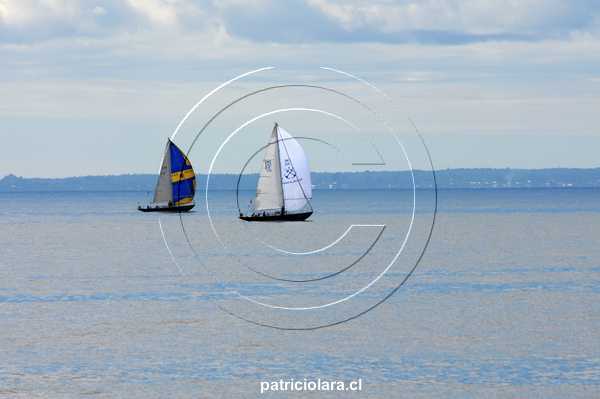 DSC_4003.JPG