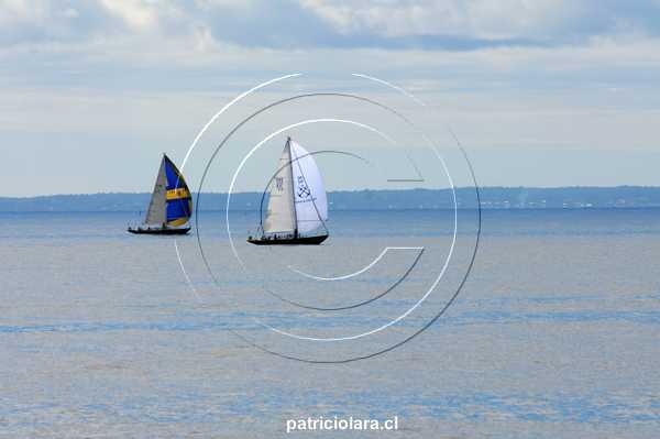 DSC_4004.JPG